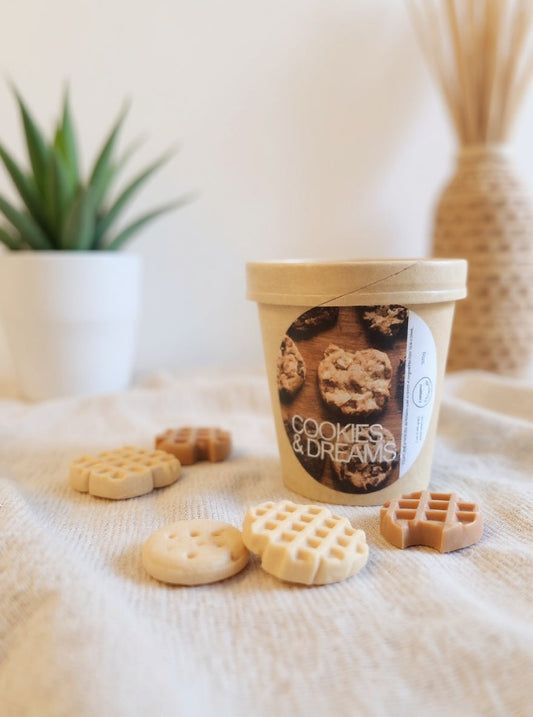 ¿Qué son los Wax Melts?