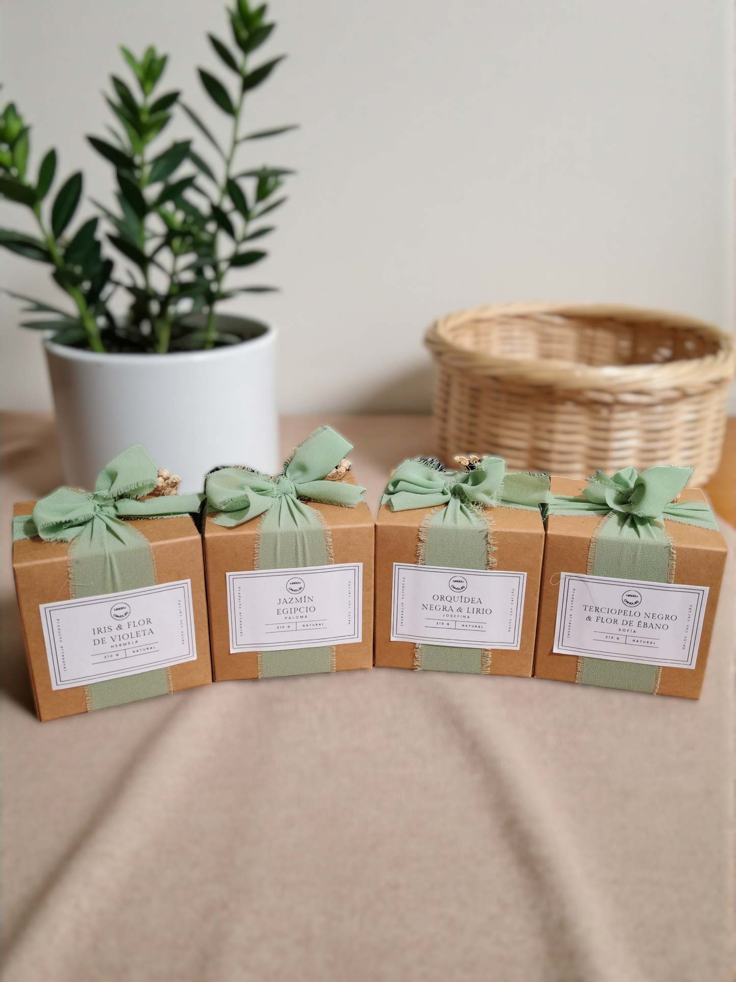 Esencias de Jardín - Kit Aromáticas