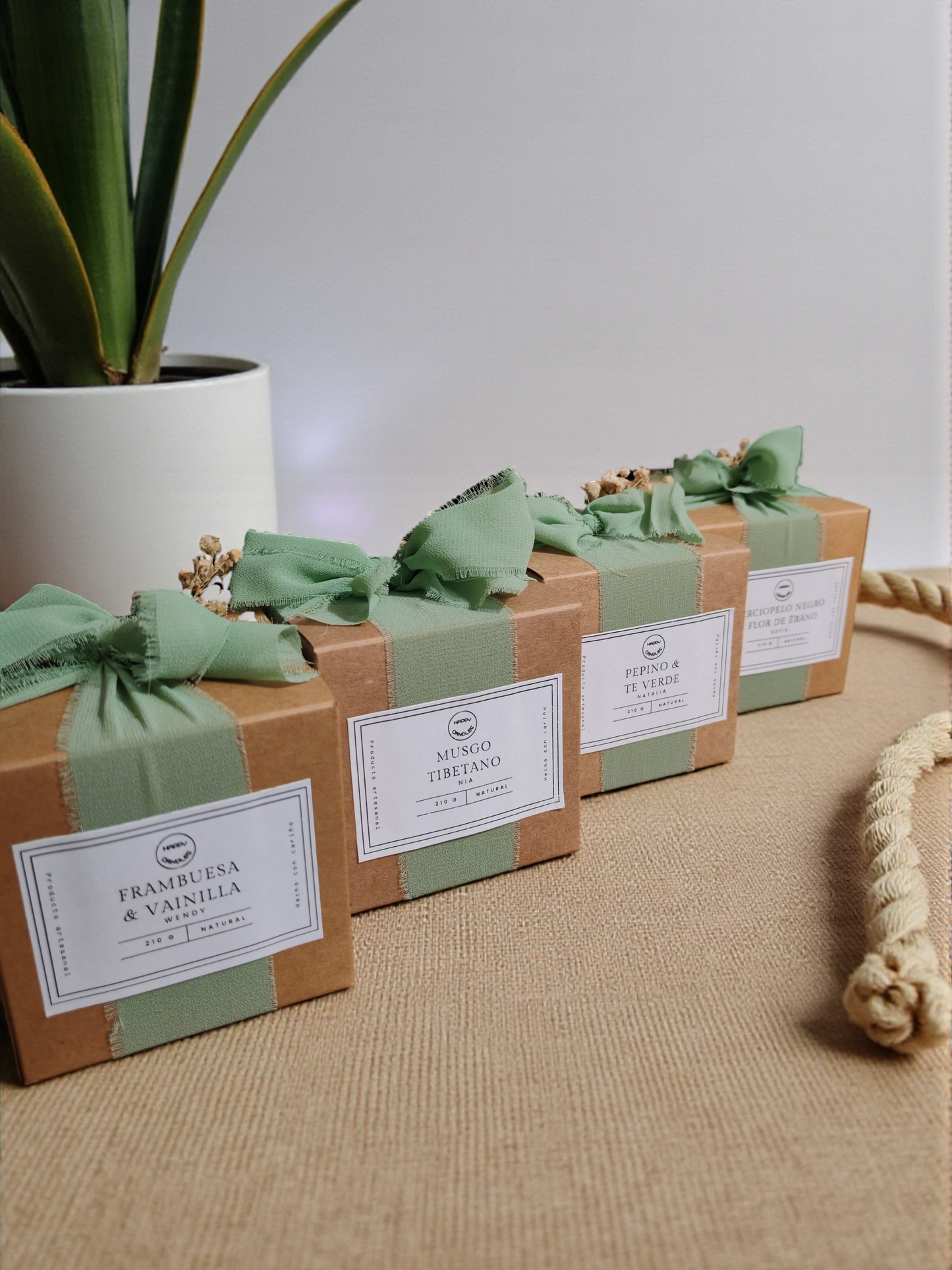 Cuatro Momentos - Kit Aromáticas